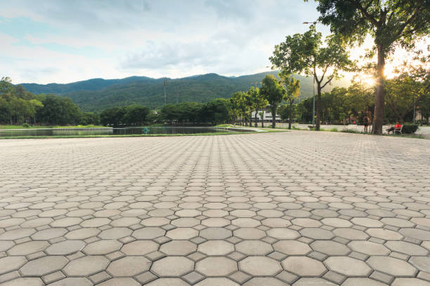 Best Driveway Paver Repair  in Fort Lauderdale, FL